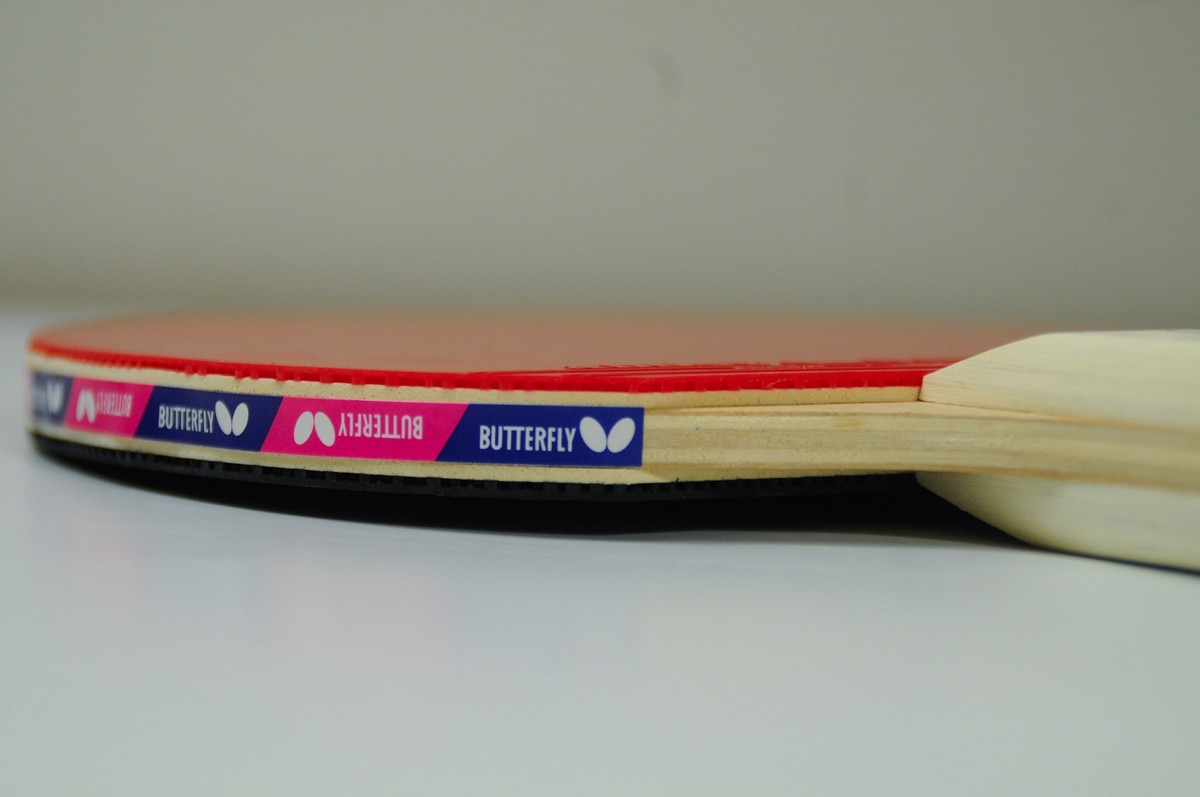 Butterfly Addoy 1000 Pre-Made Racket: Horizontal view of racket